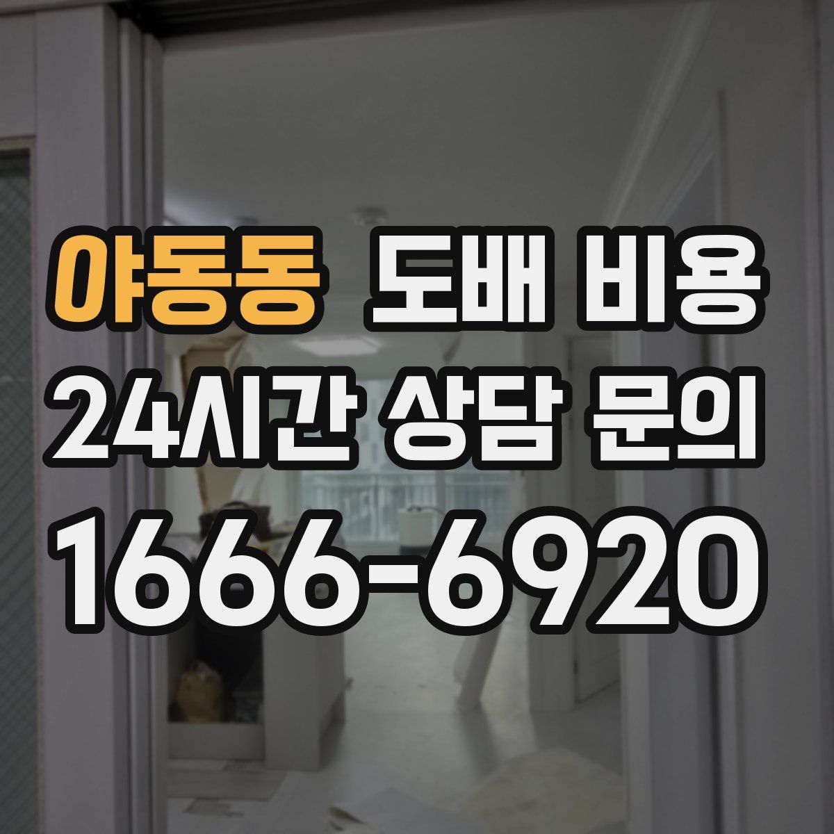 야동동 도배 비용