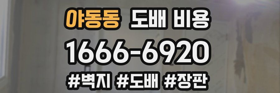 야동동 도배 비용