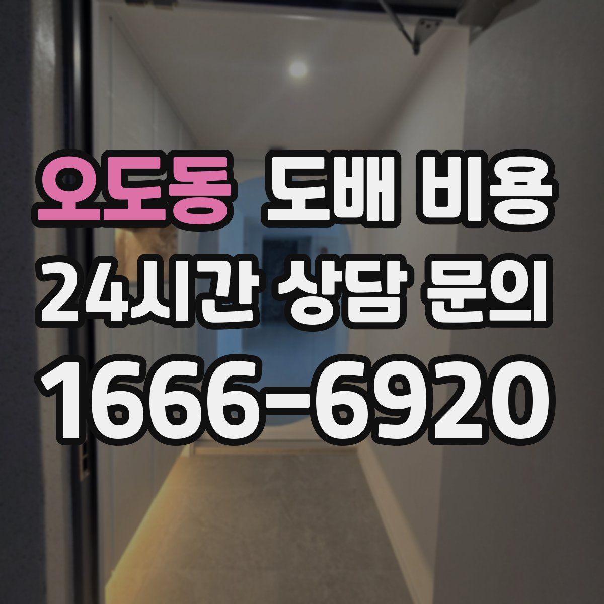 오도동 도배 비용