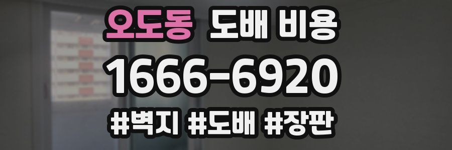 오도동 도배 비용