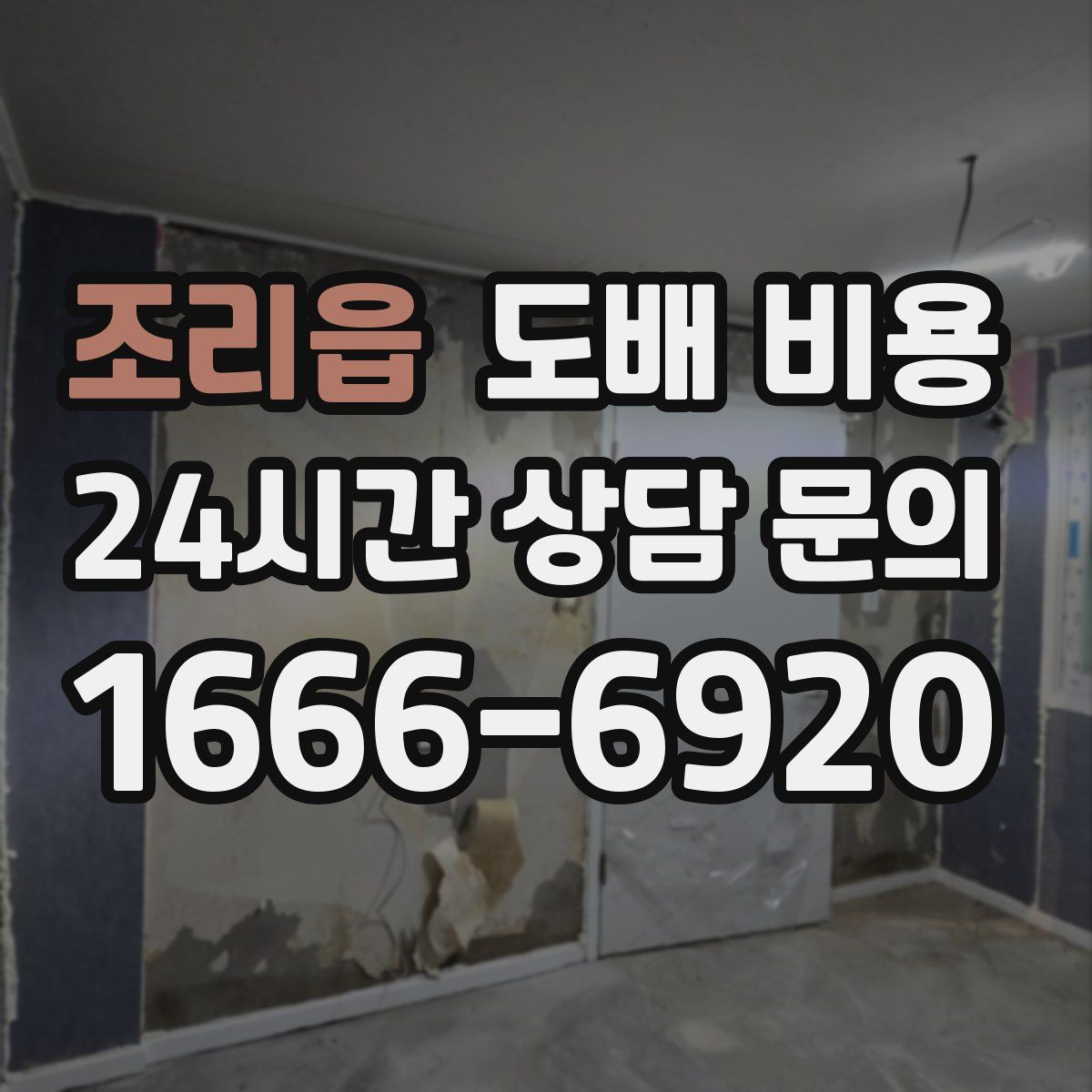 조리읍 도배 비용