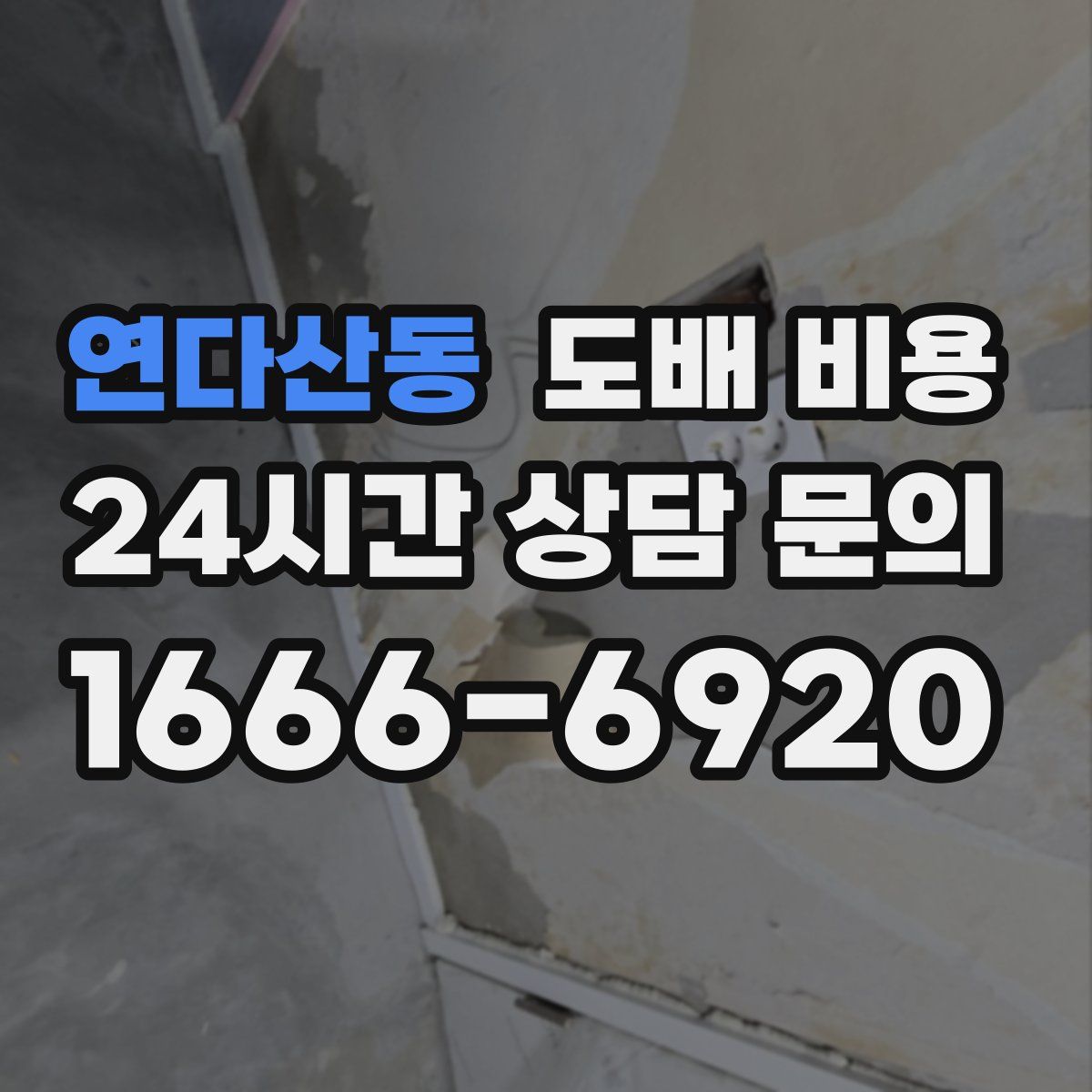 연다산동 도배 비용