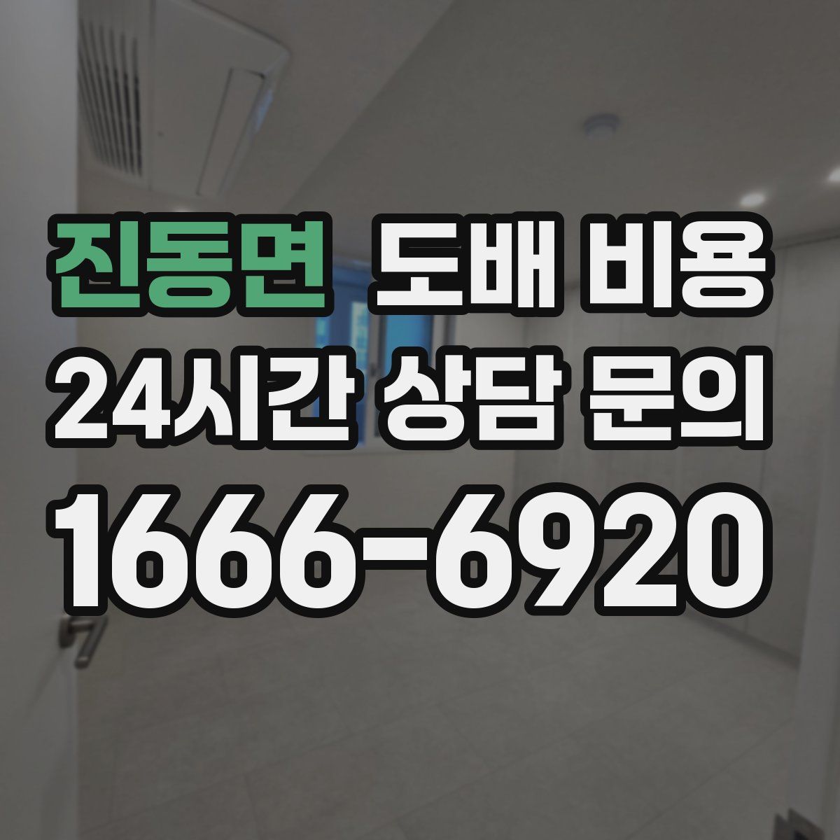 진동면 도배 비용