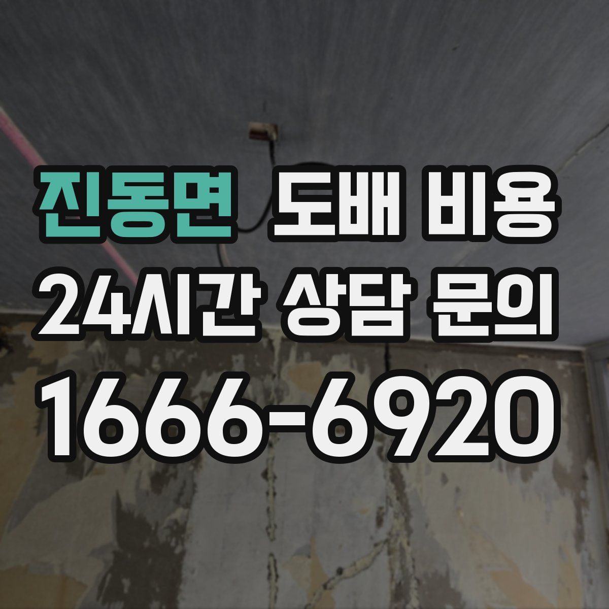 진동면 도배 비용