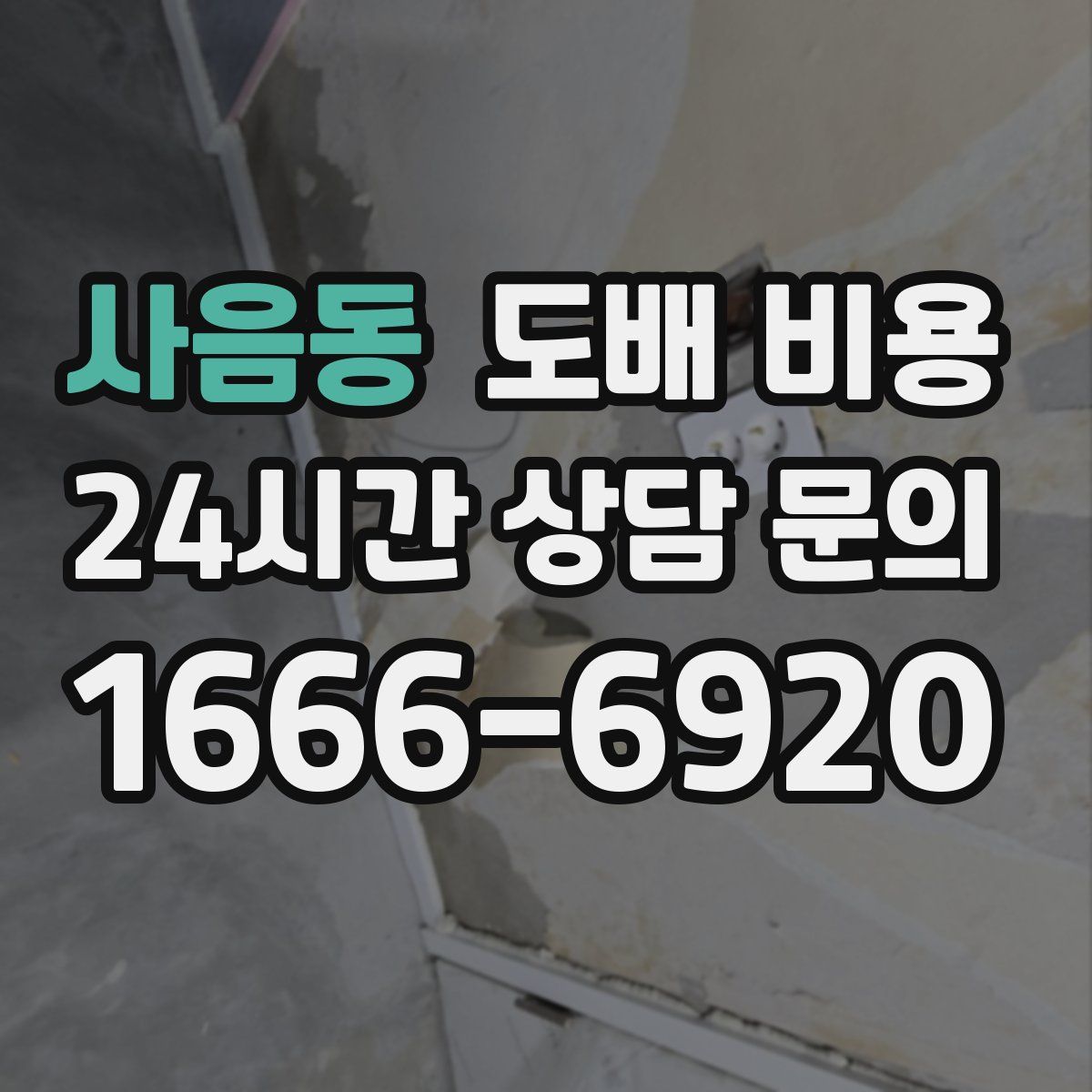 사음동 도배 비용