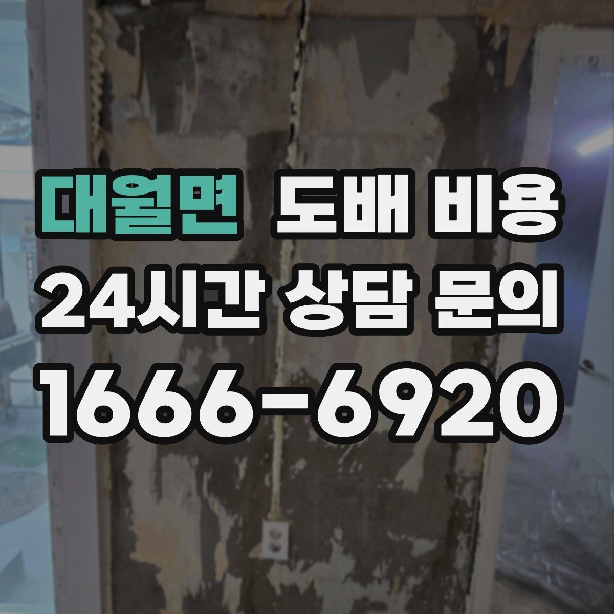 대월면 도배 비용 문의 전 체크하면 좋은 사항