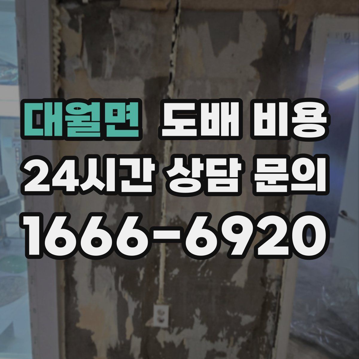 대월면 도배 비용