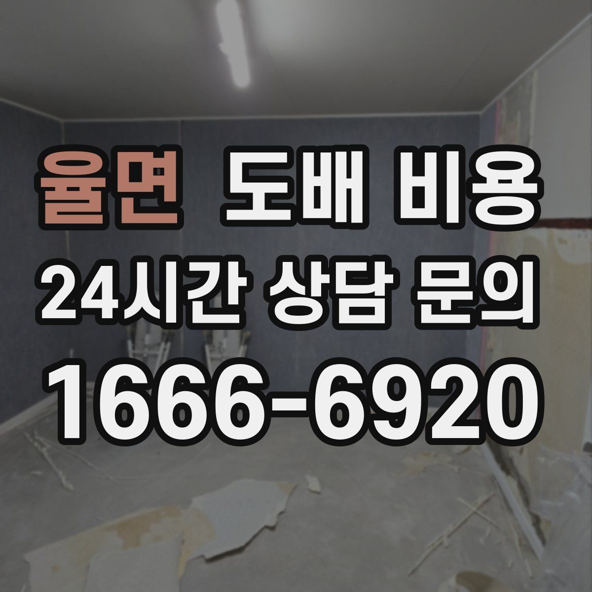 율면 도배 비용