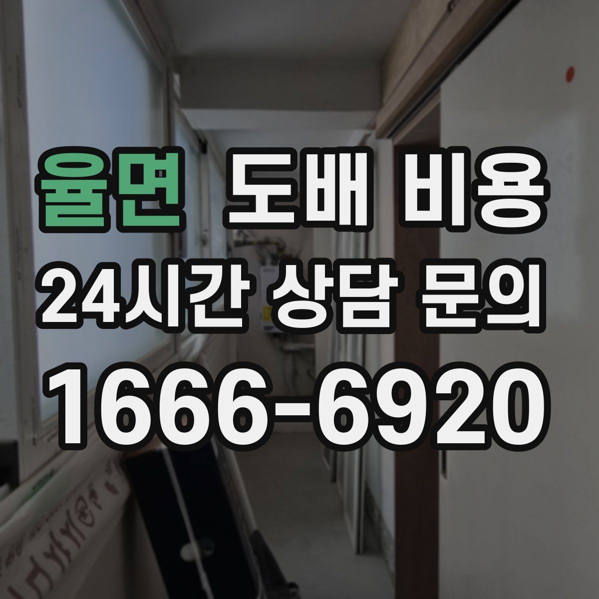 율면 도배 비용