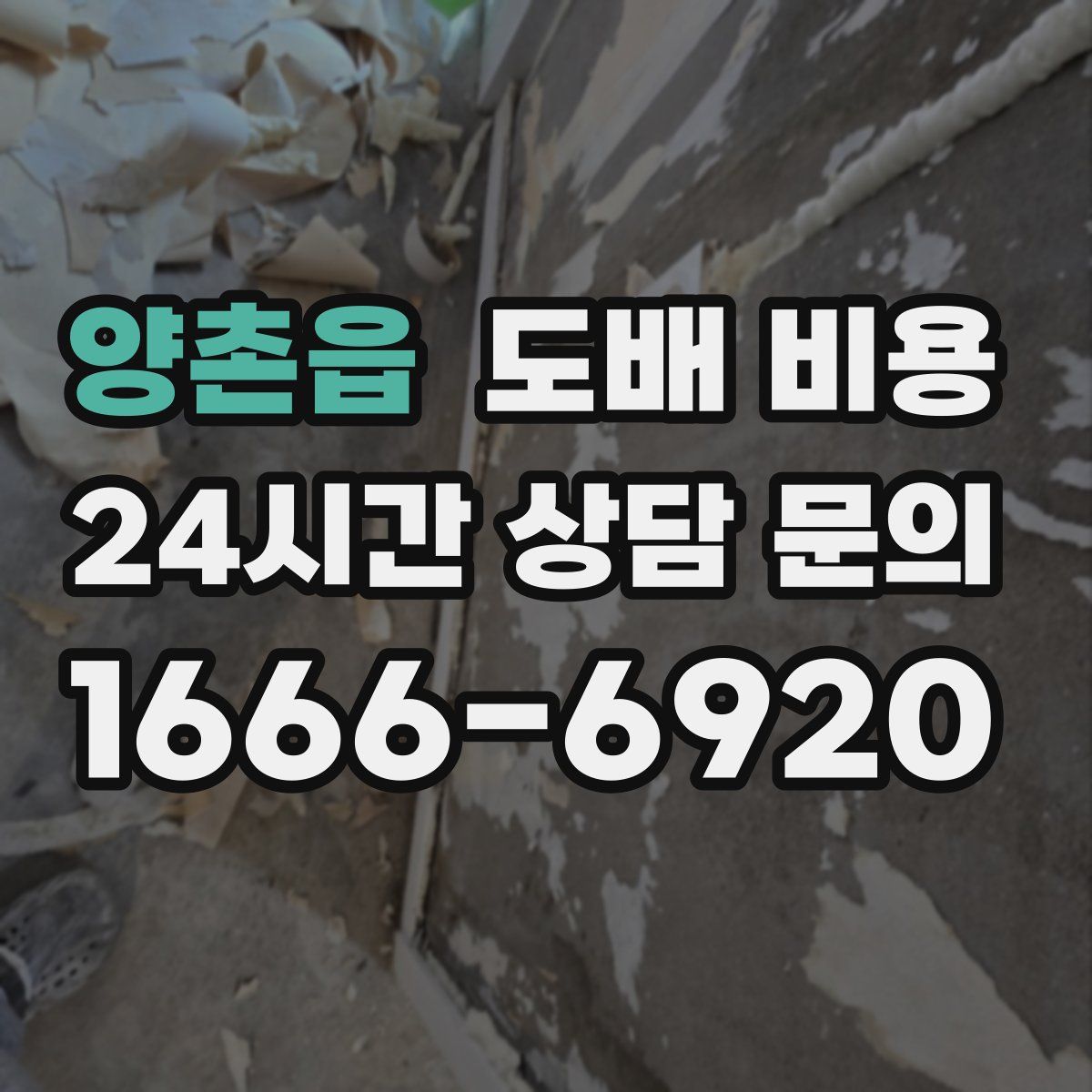 양촌읍 도배 비용