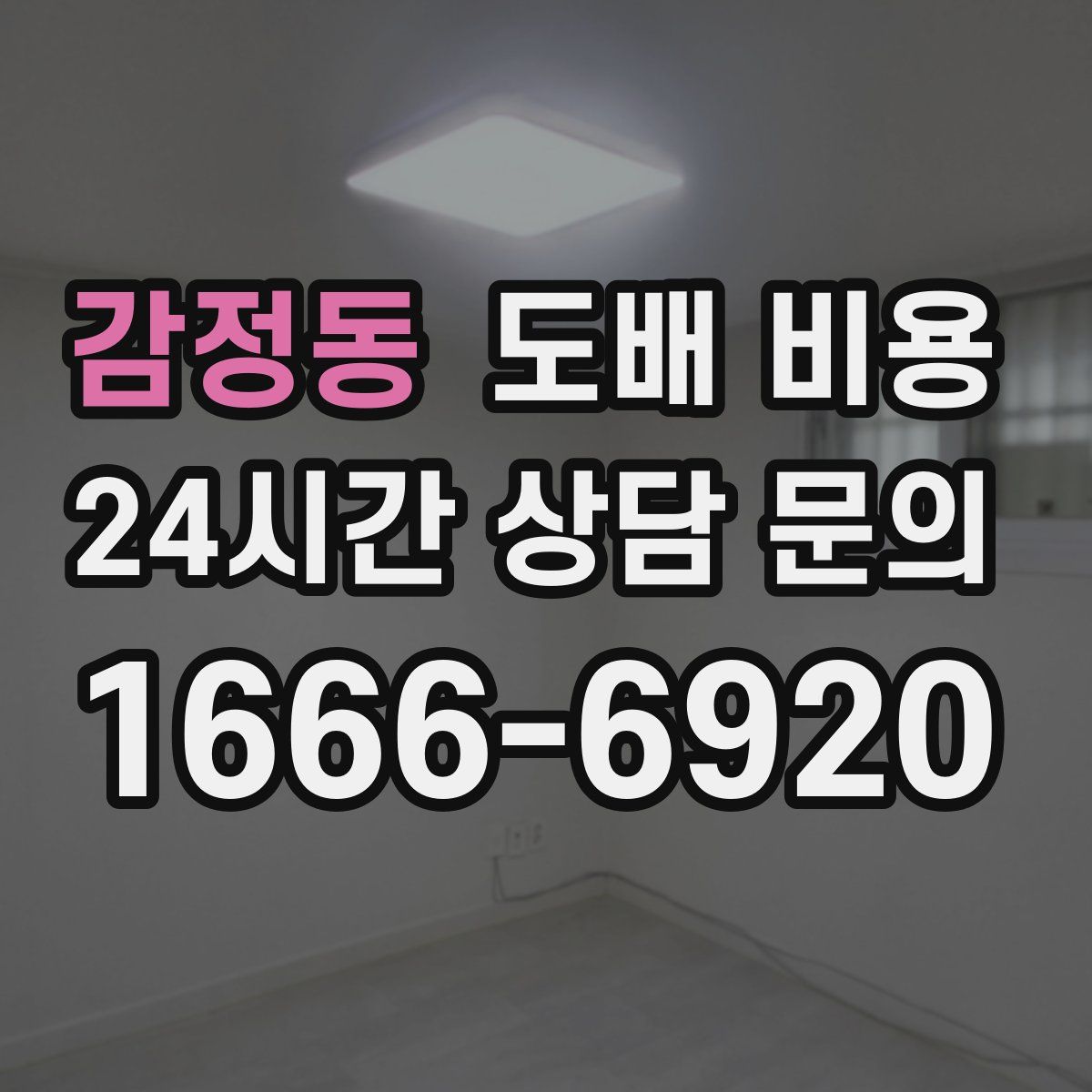 감정동 도배 비용