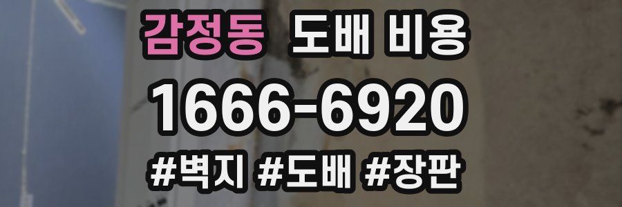 감정동 도배 비용