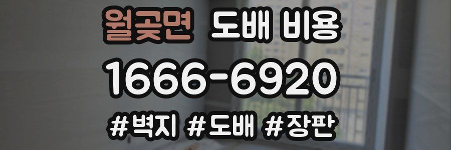 월곶면 도배 비용