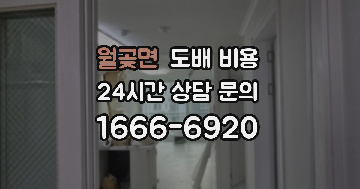 월곶면 도배 비용