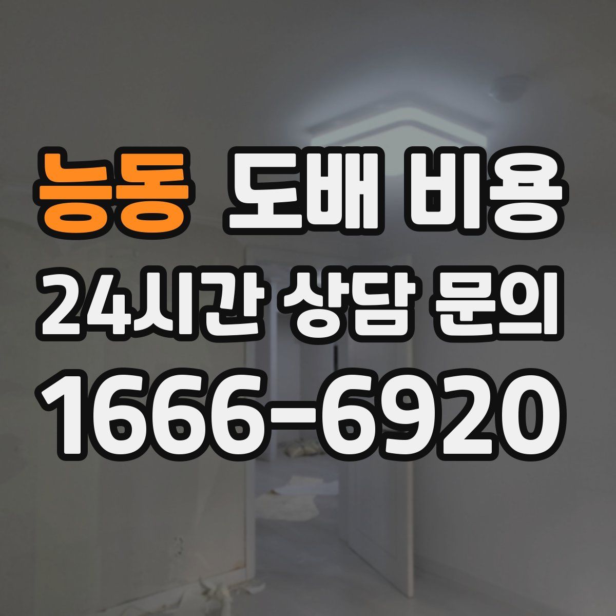 능동 도배 비용