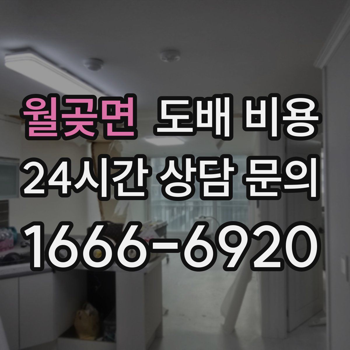 월곶면 도배 비용