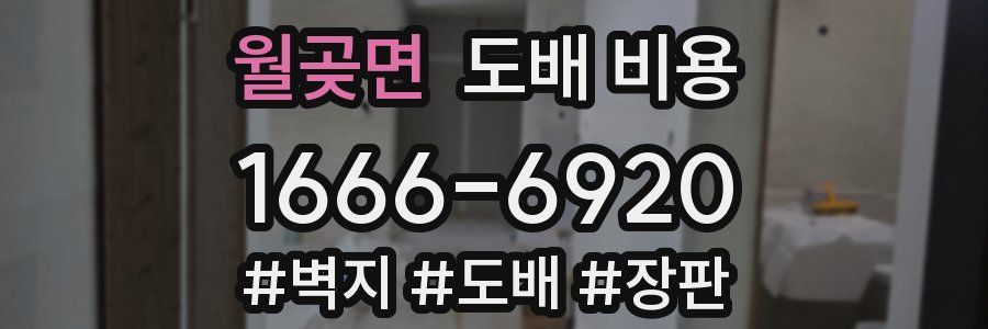 월곶면 도배 비용