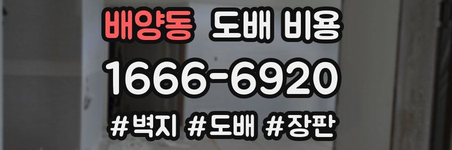 배양동 도배 비용