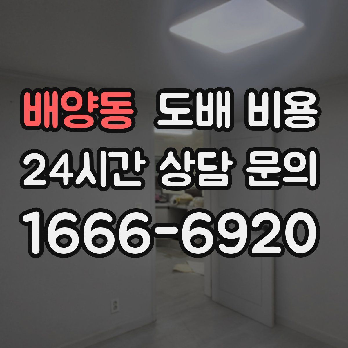 배양동 도배 비용