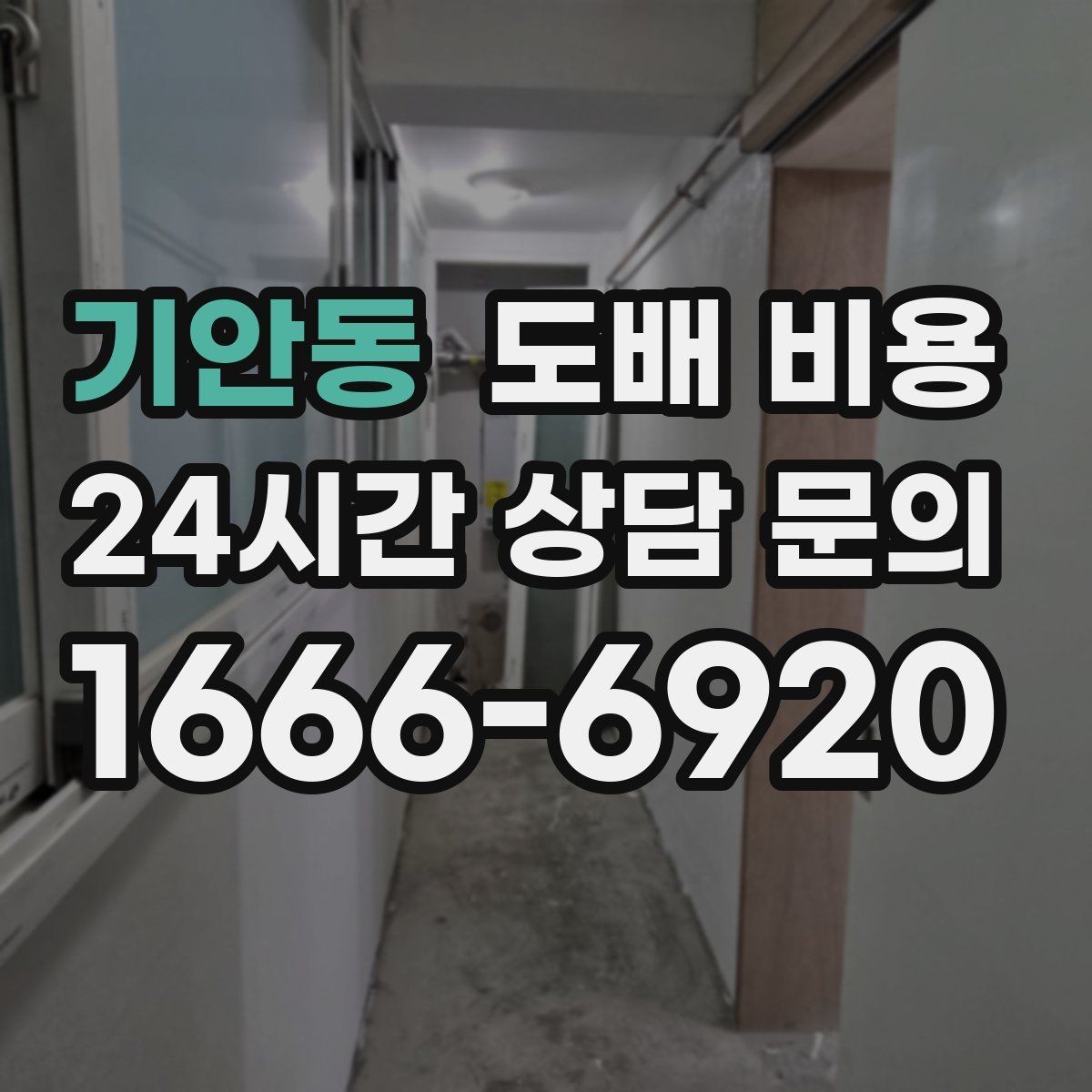 기안동 도배 비용 비교 후 선택할 때 보는 기준