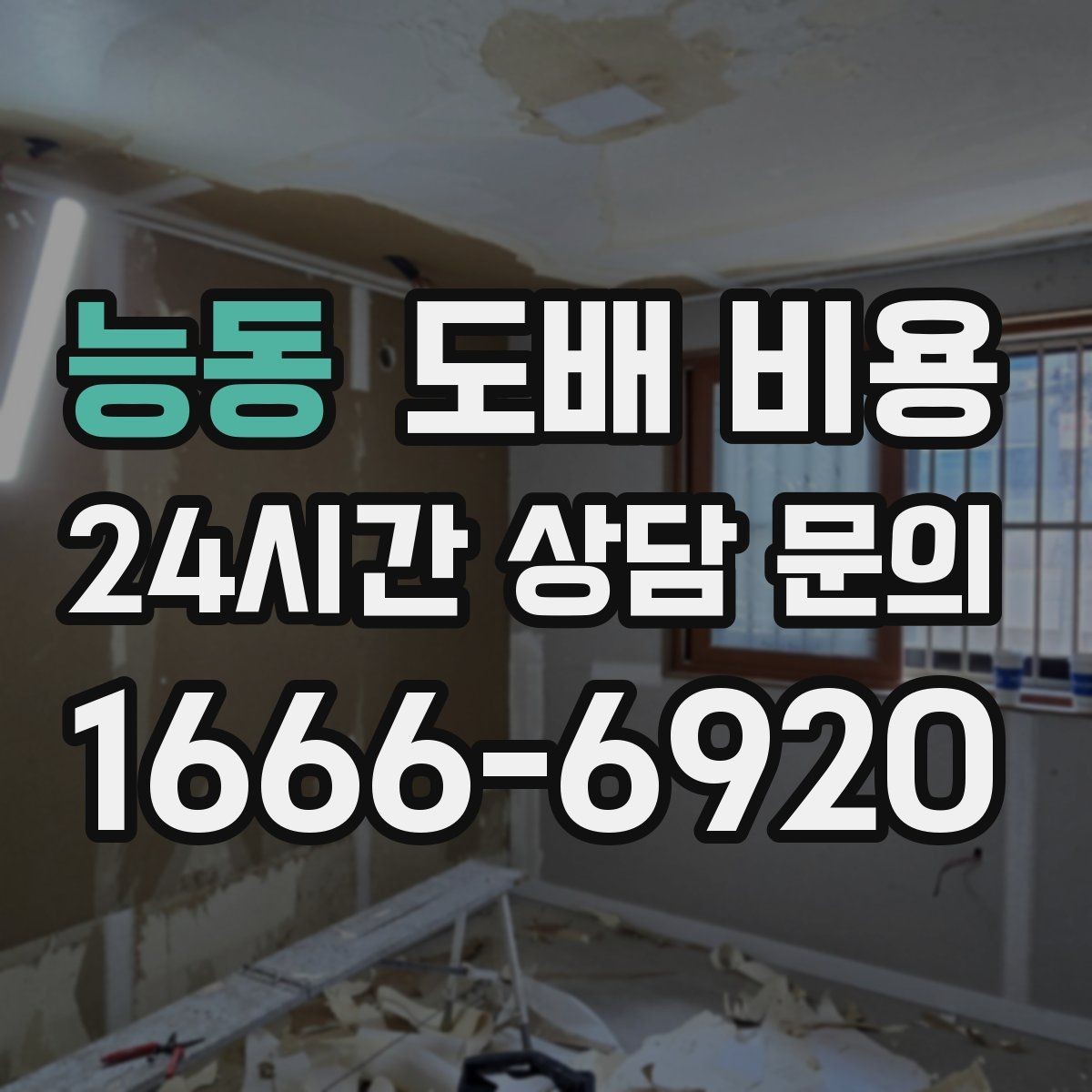 능동 도배 비용 문의 전 체크하면 좋은 사항