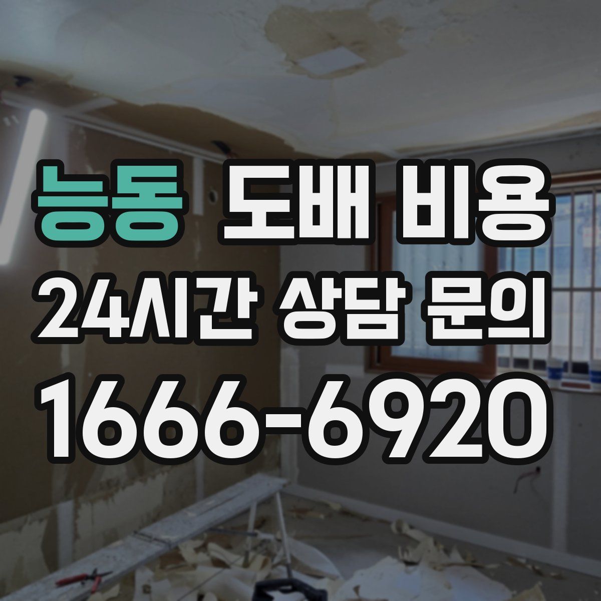 능동 도배 비용