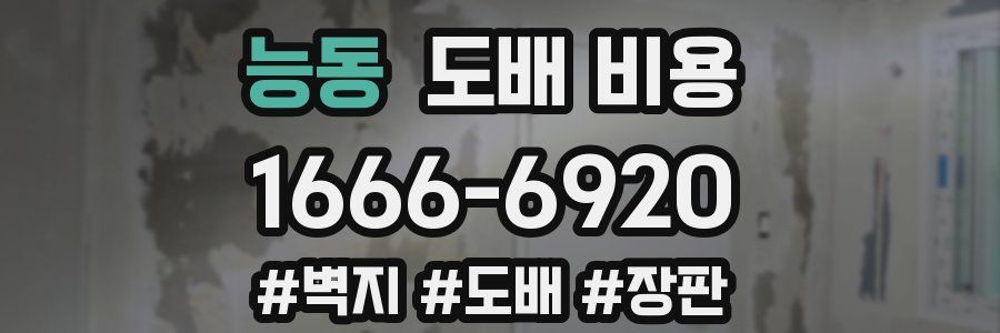 능동 도배 비용