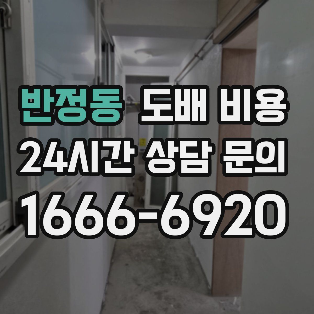 반정동 도배 비용