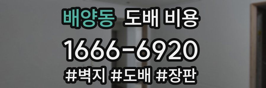 배양동 도배 비용