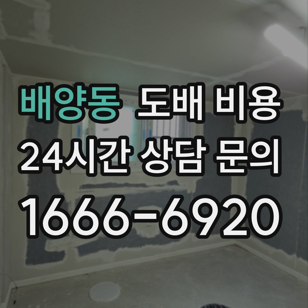 배양동 도배 비용