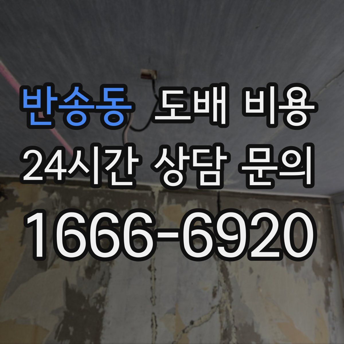 반송동 도배 비용