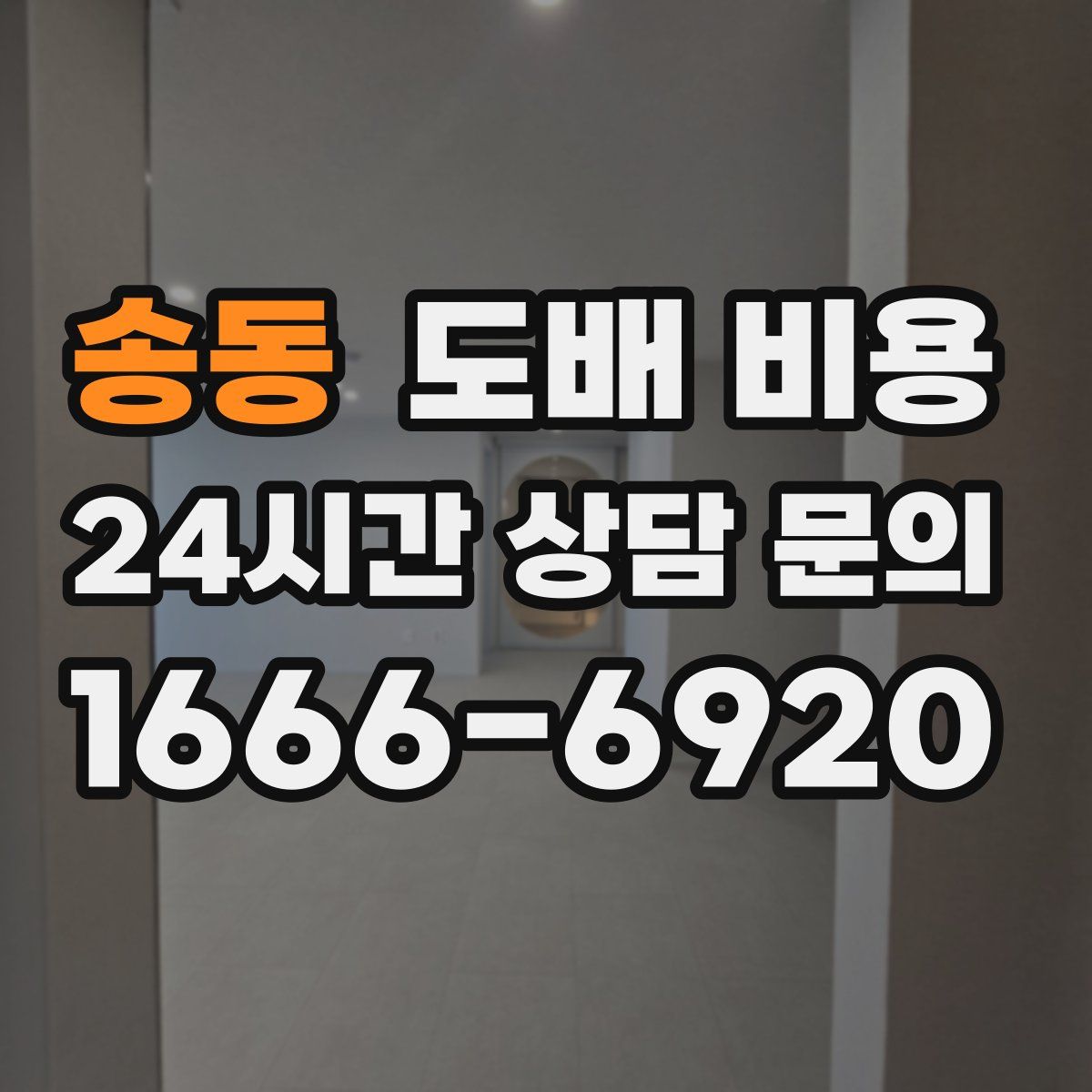 송동 도배 비용