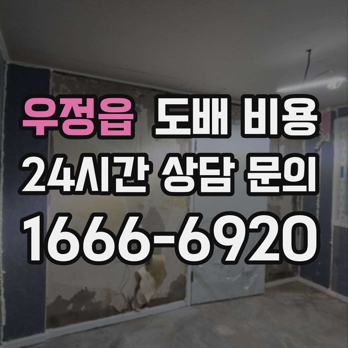 우정읍 도배 비용