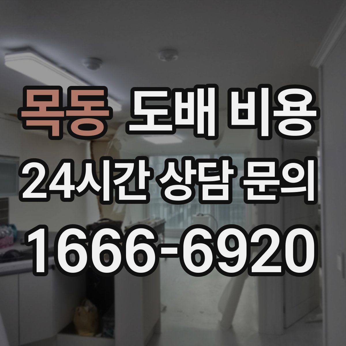 목동 도배 비용