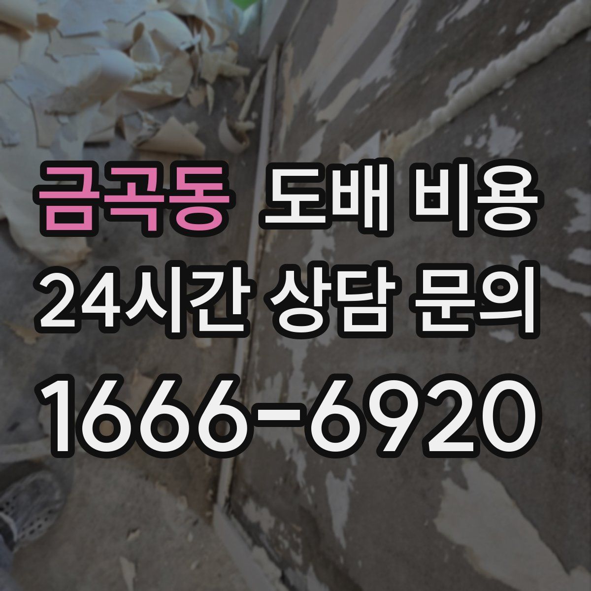 금곡동 도배 비용