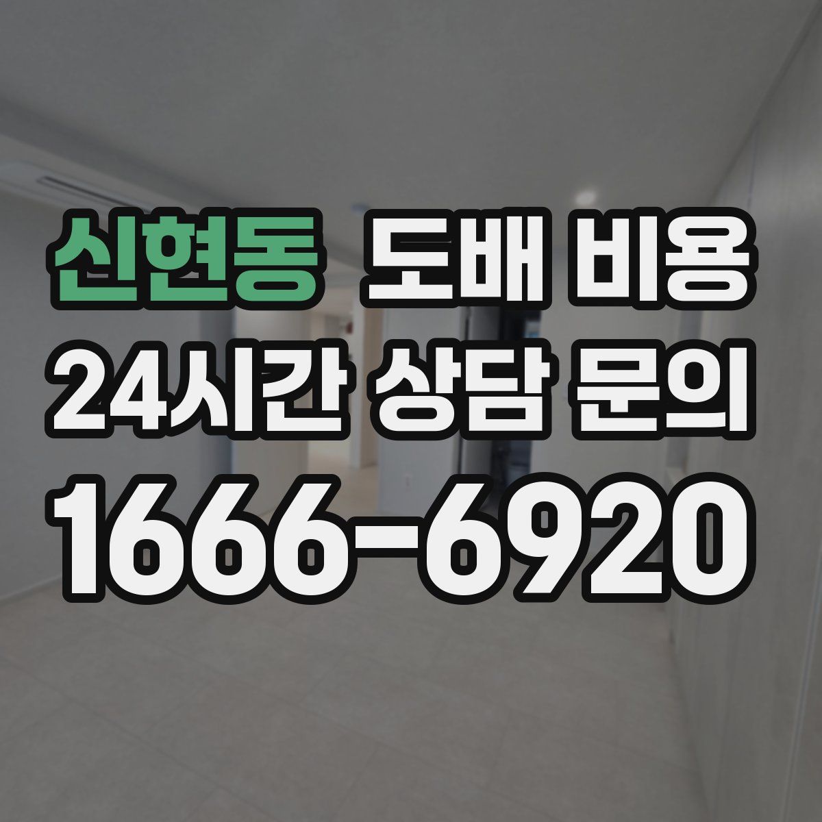 신현동 도배 비용