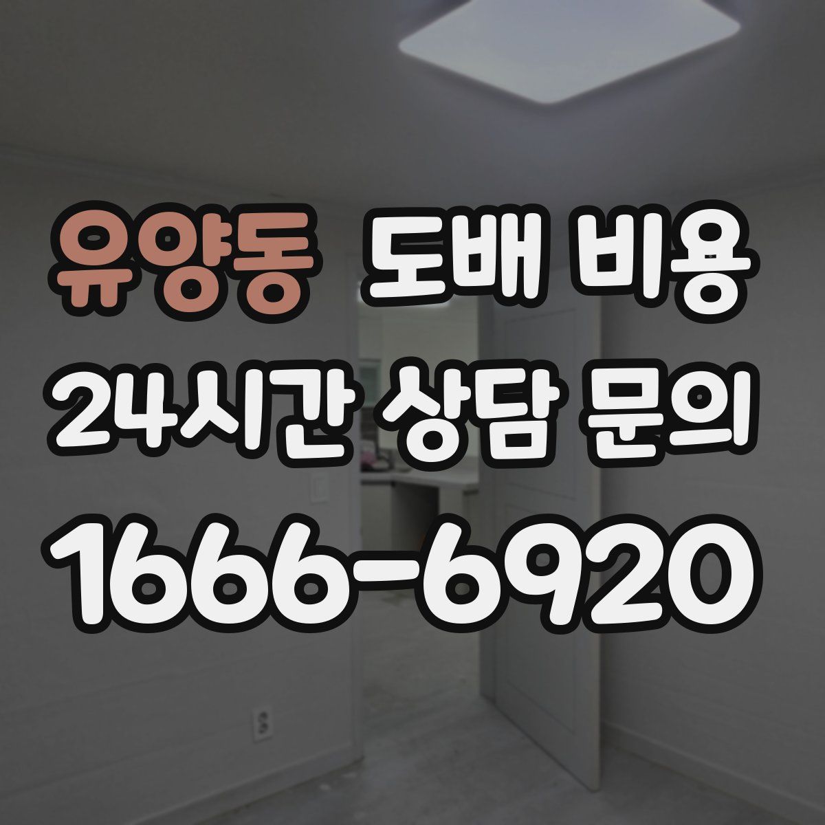유양동 도배 비용