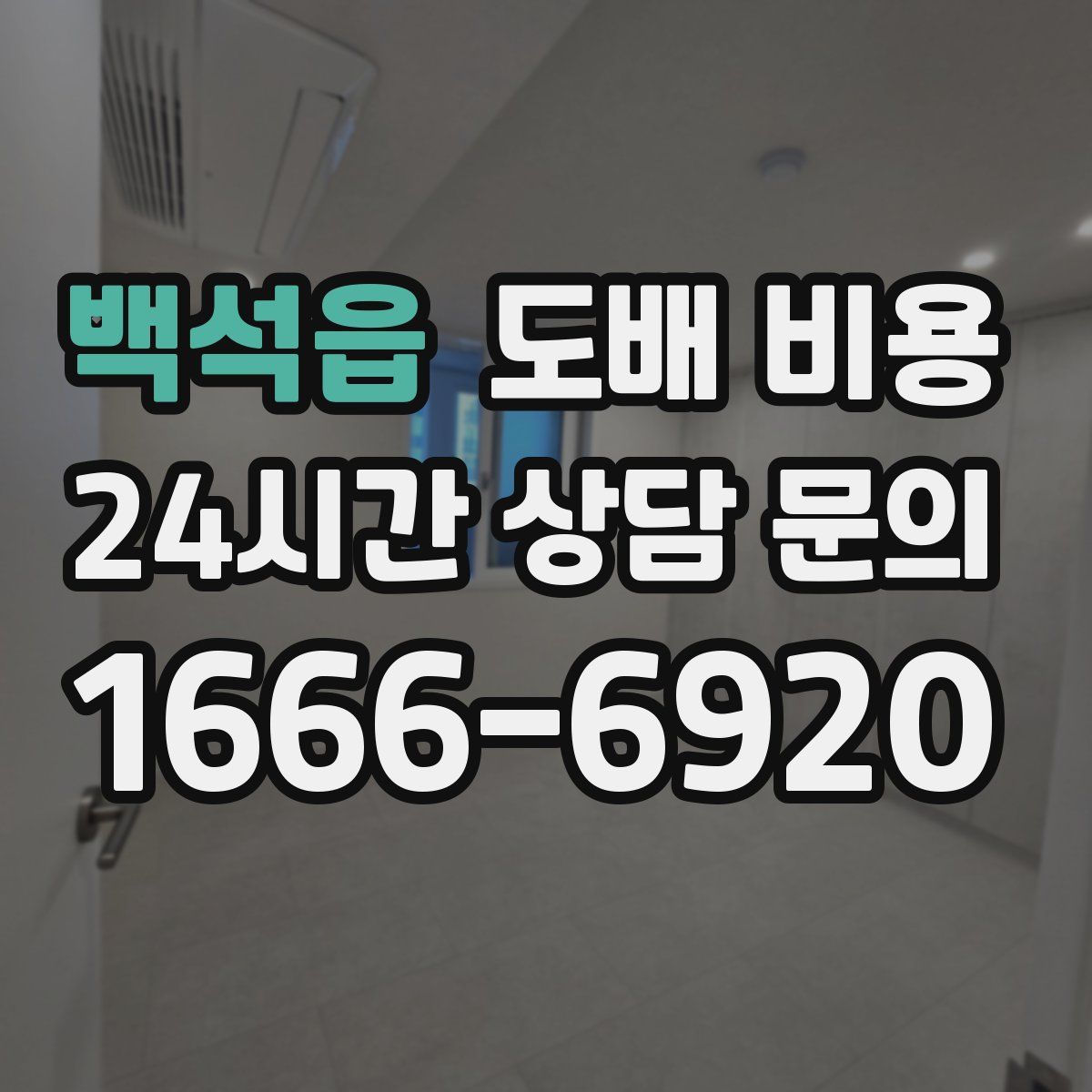 백석읍 도배 비용