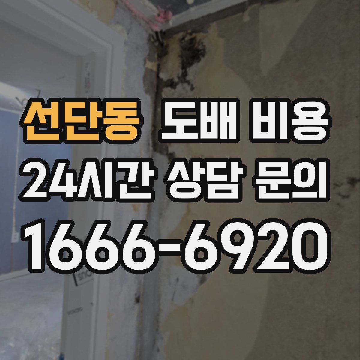 선단동 도배 비용