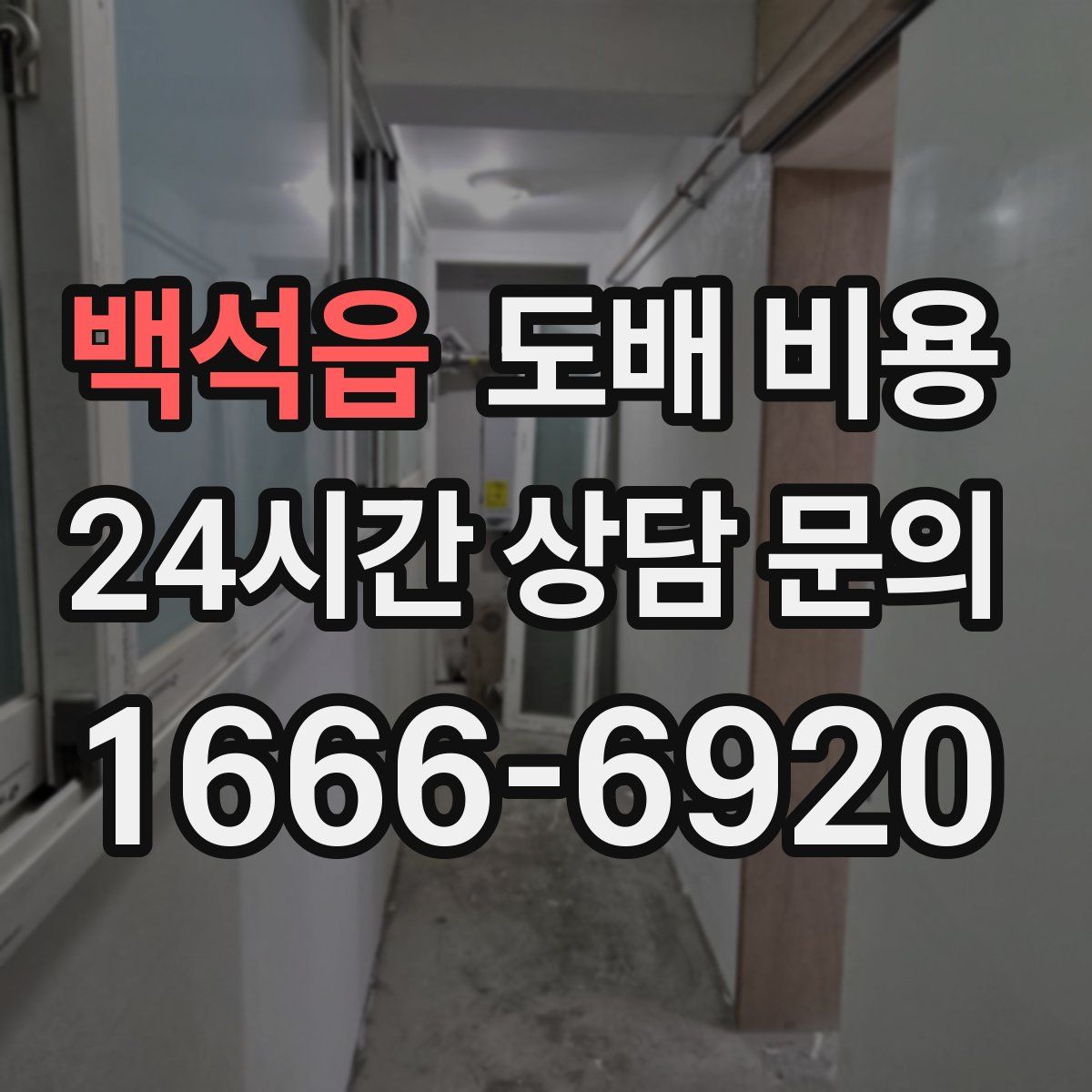 백석읍 도배 비용