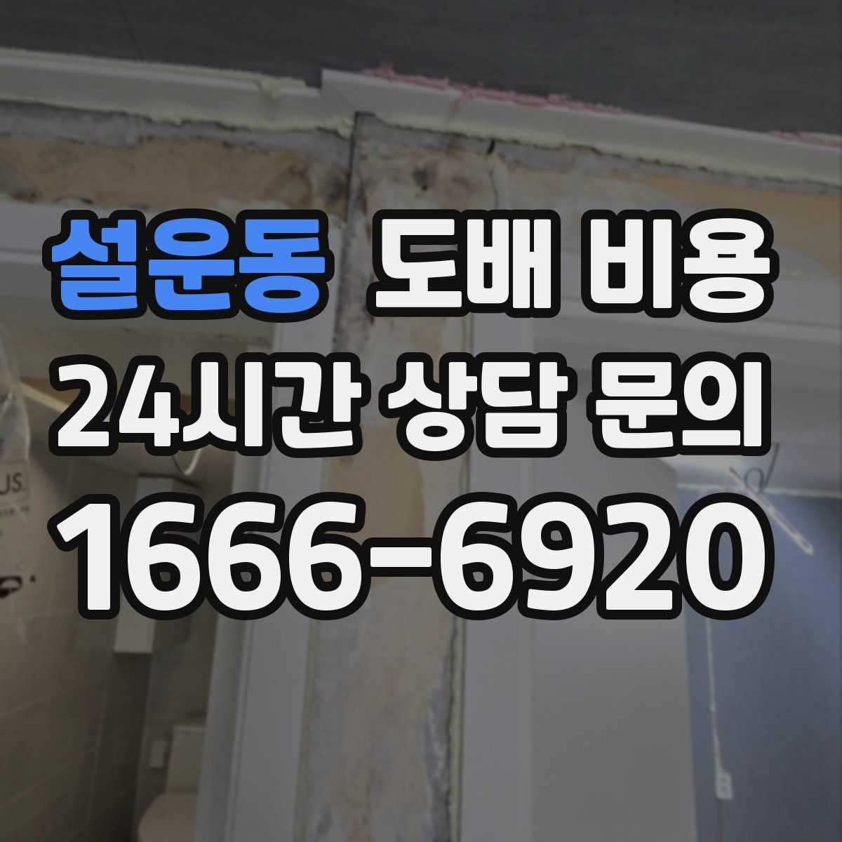 설운동 도배 비용