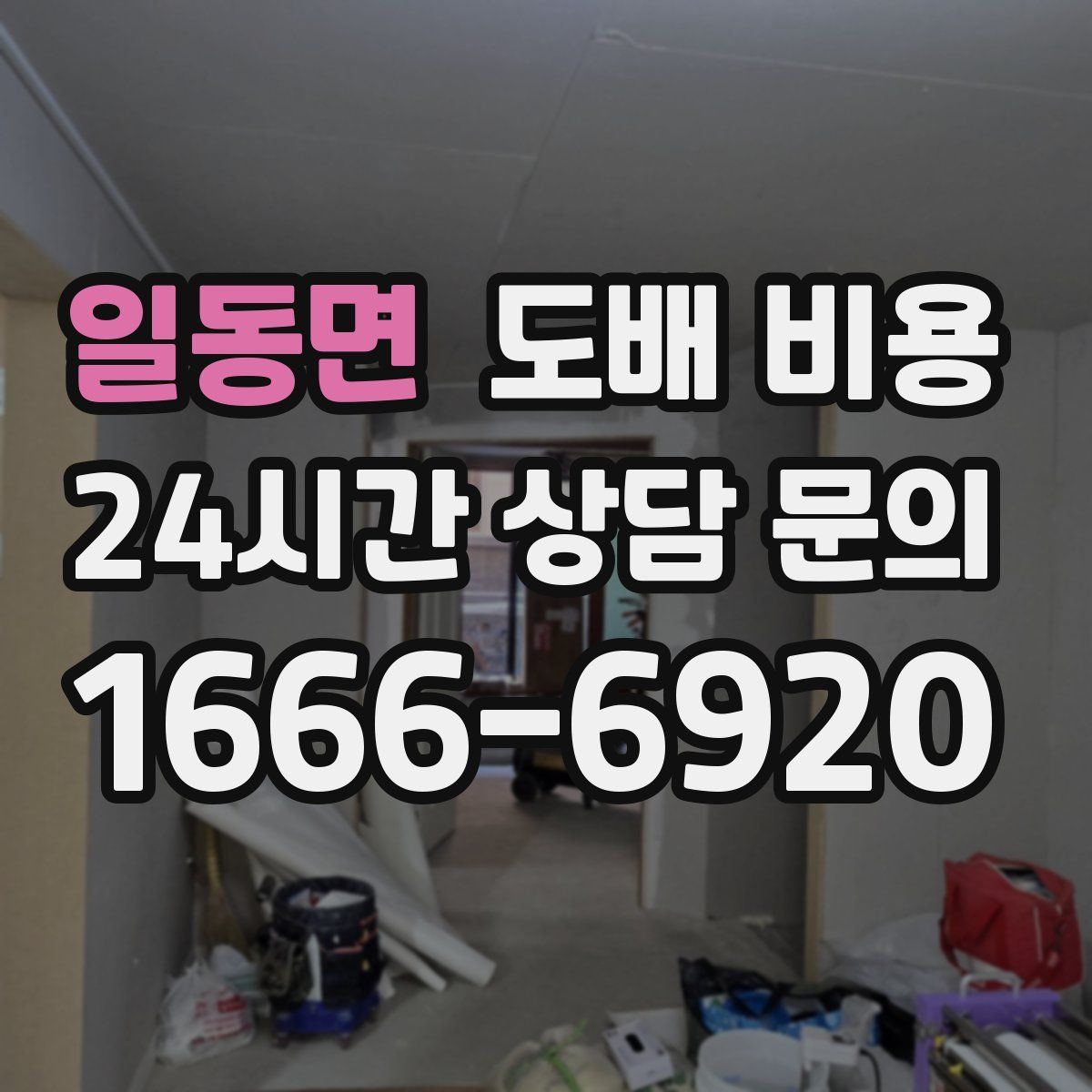 일동면 도배 비용