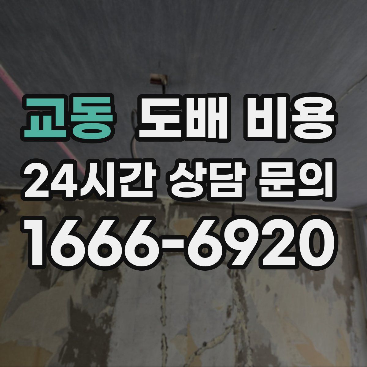 교동 도배 비용