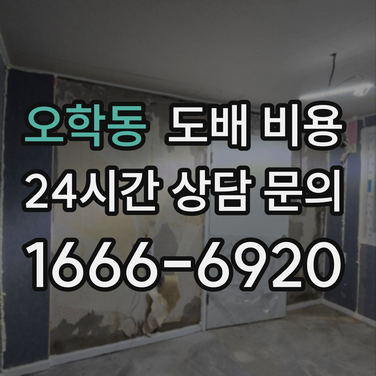 오학동 도배 비용 예상 견적을 볼 때 유의할 점