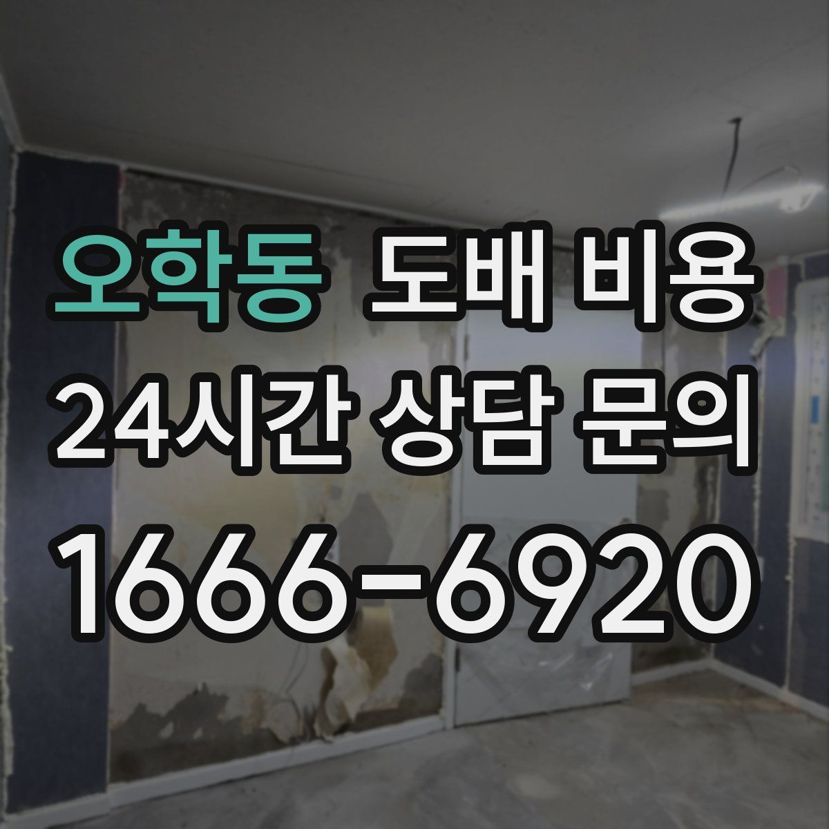 오학동 도배 비용