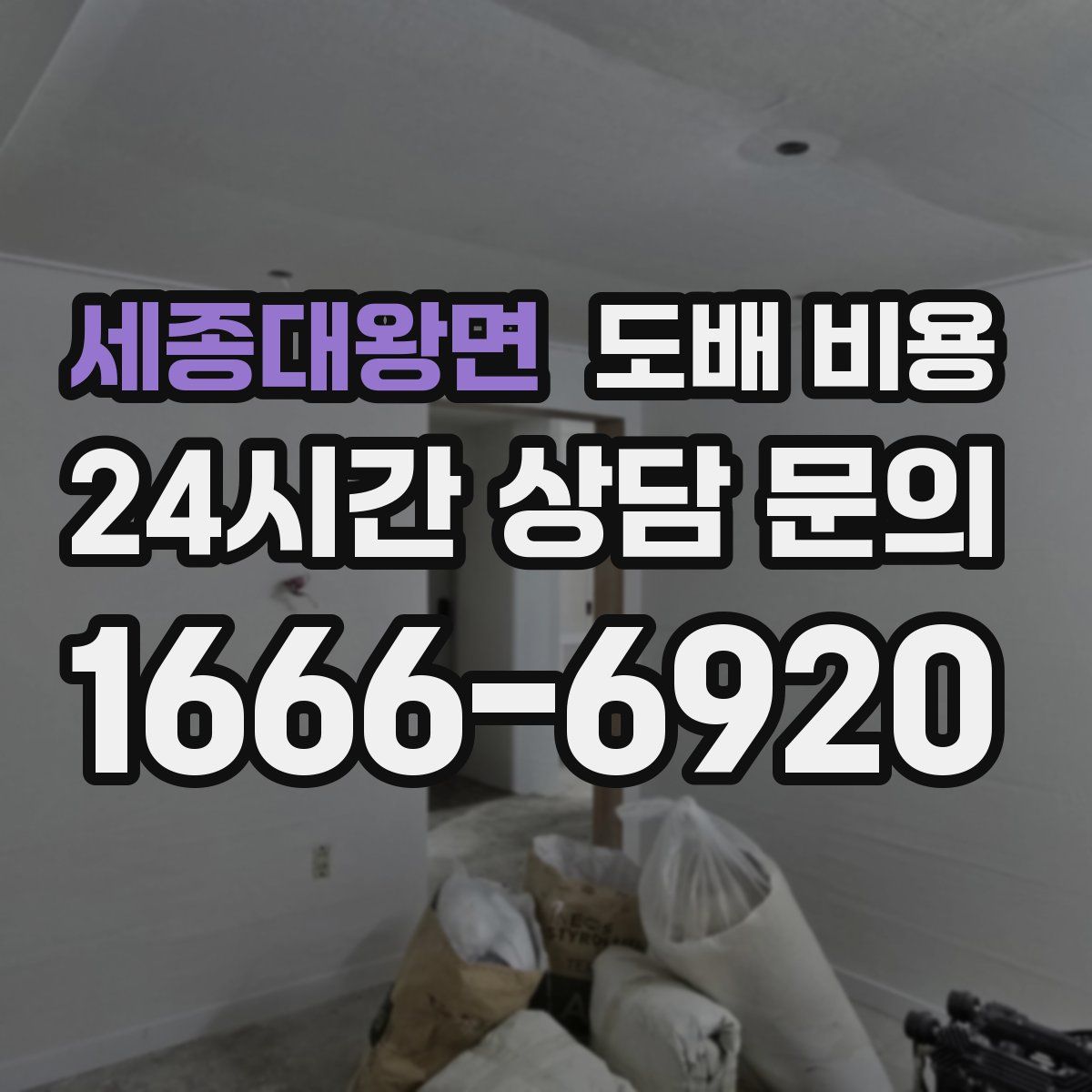 세종대왕면 도배 비용