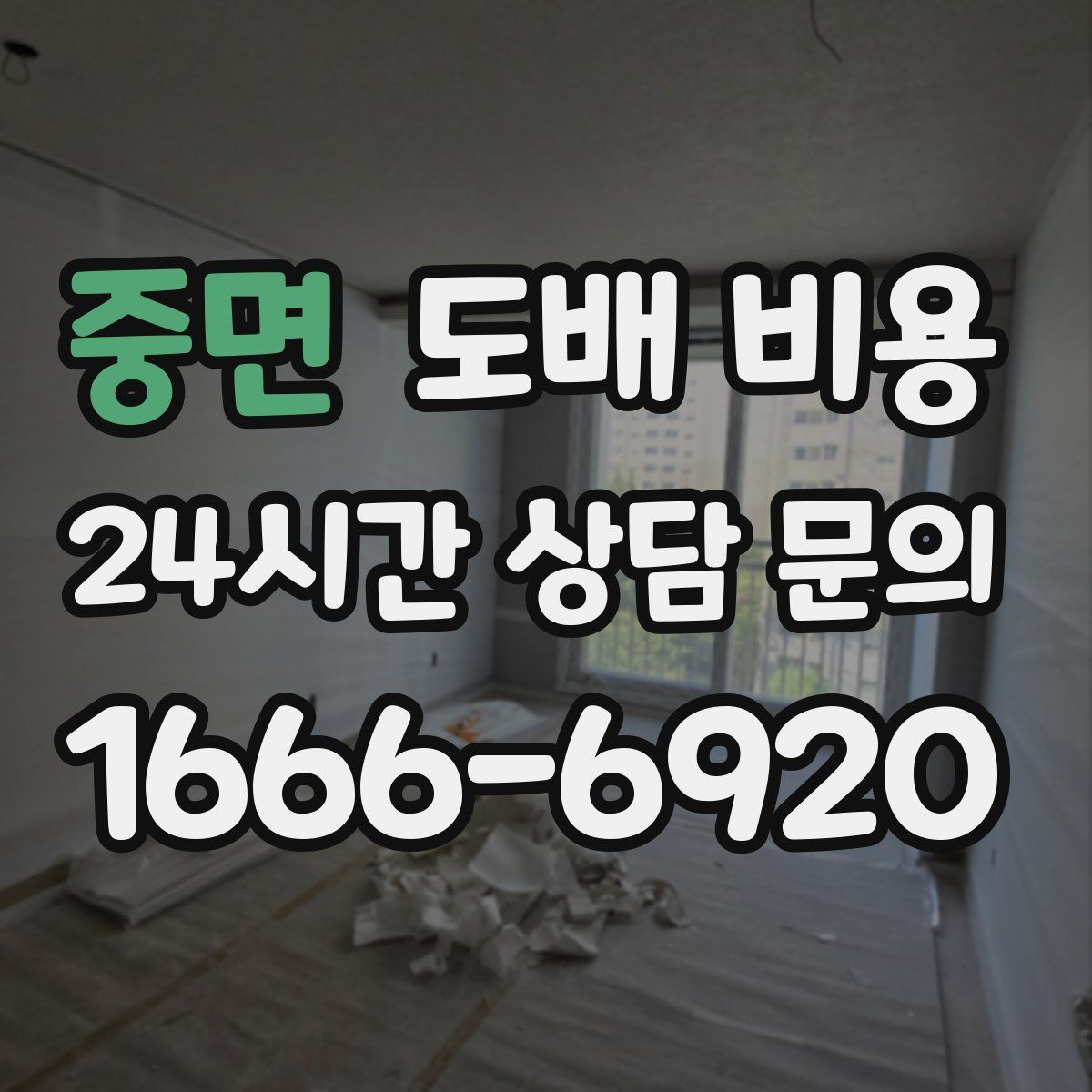 중면 도배 비용
