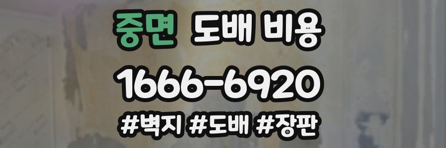 중면 도배 비용
