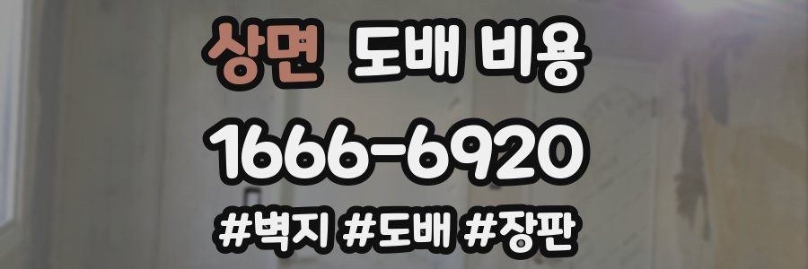 상면 도배 비용
