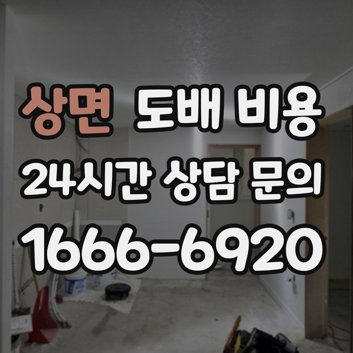 상면 도배 비용